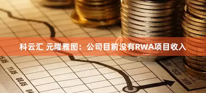 科云汇 元隆雅图：公司目前没有RWA项目收入