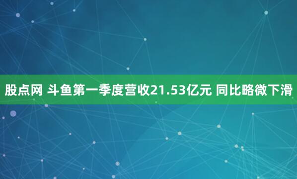 股点网 斗鱼第一季度营收21.53亿元 同比略微下滑