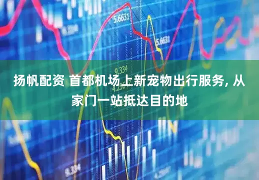 扬帆配资 首都机场上新宠物出行服务, 从家门一站抵达目的地