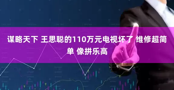 谋略天下 王思聪的110万元电视坏了 维修超简单 像拼乐高