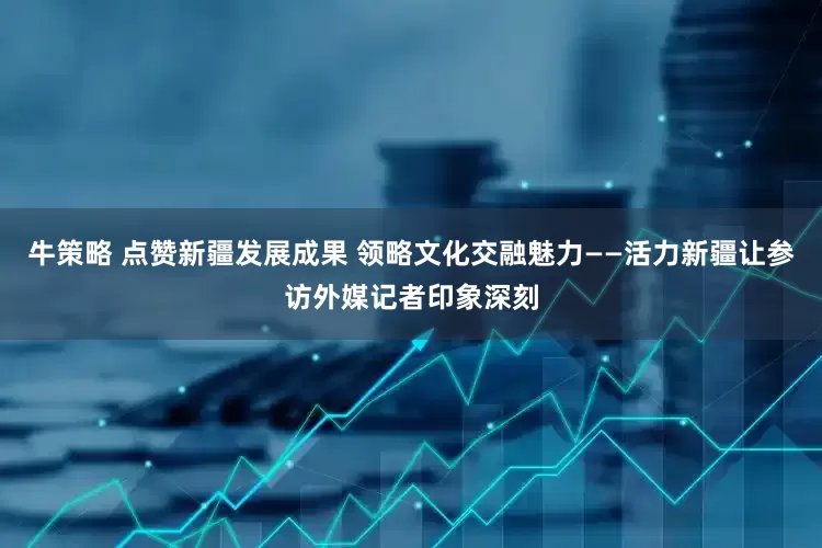 牛策略 点赞新疆发展成果 领略文化交融魅力——活力新疆让参访外媒记者印象深刻