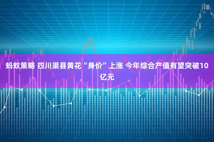 蚂蚁策略 四川渠县黄花“身价”上涨 今年综合产值有望突破10亿元
