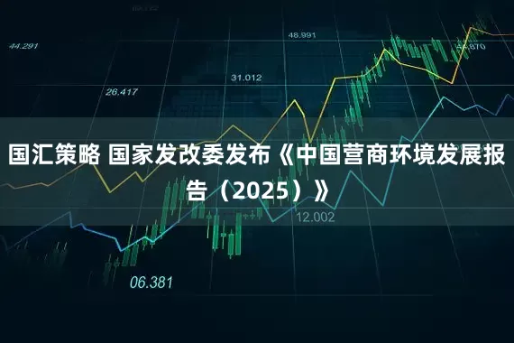 国汇策略 国家发改委发布《中国营商环境发展报告（2025）》