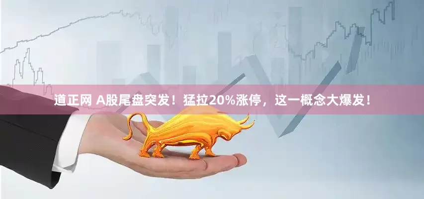 道正网 A股尾盘突发!猛拉20%涨停,这一概念大爆发!