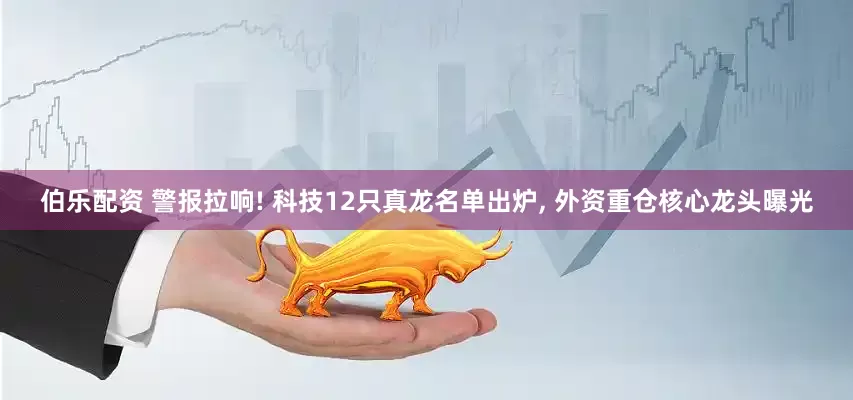 伯乐配资 警报拉响! 科技12只真龙名单出炉, 外资重仓核心龙头曝光
